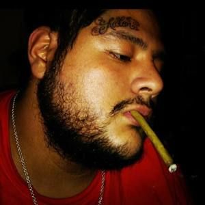 Meet your Posher, Seth